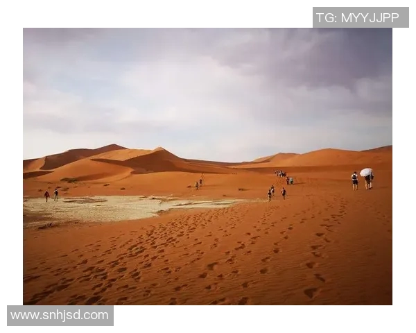 南非与纳米比亚激战正酣谁能在这场较量中脱颖而出