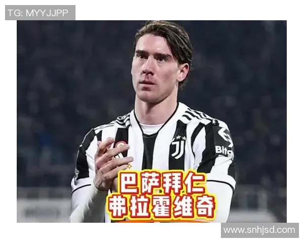 弗拉霍维奇的崛起与挑战：从天才前锋到世界级球员的蜕变之路